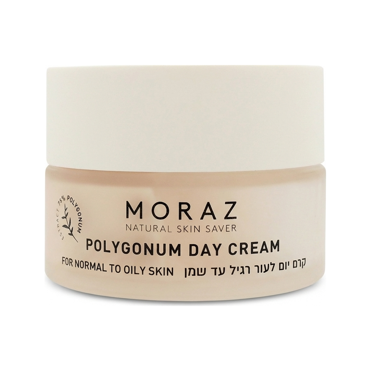 Moraz Polygonum Day Cream For Normal To Oily Skin